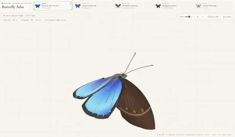 Butterfly Museum with Five Specimens result preview