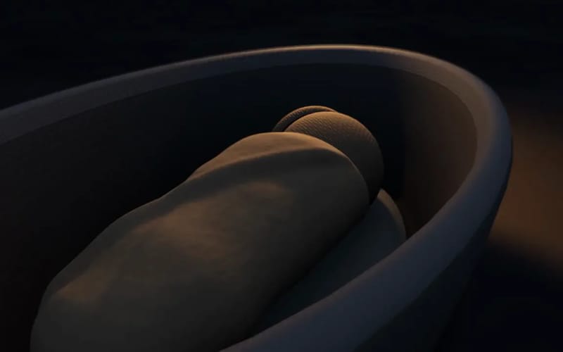 Humanity's biggest opportunity, no words result preview