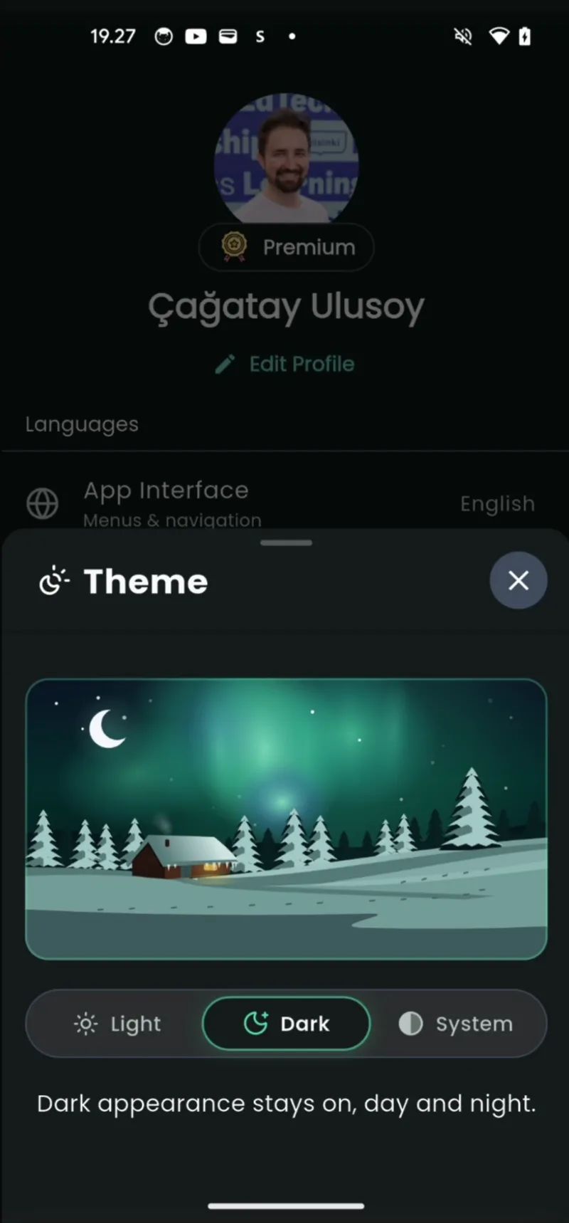 Aurora Theme Switcher in Flutter result preview