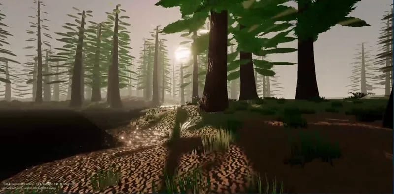 Forest result preview